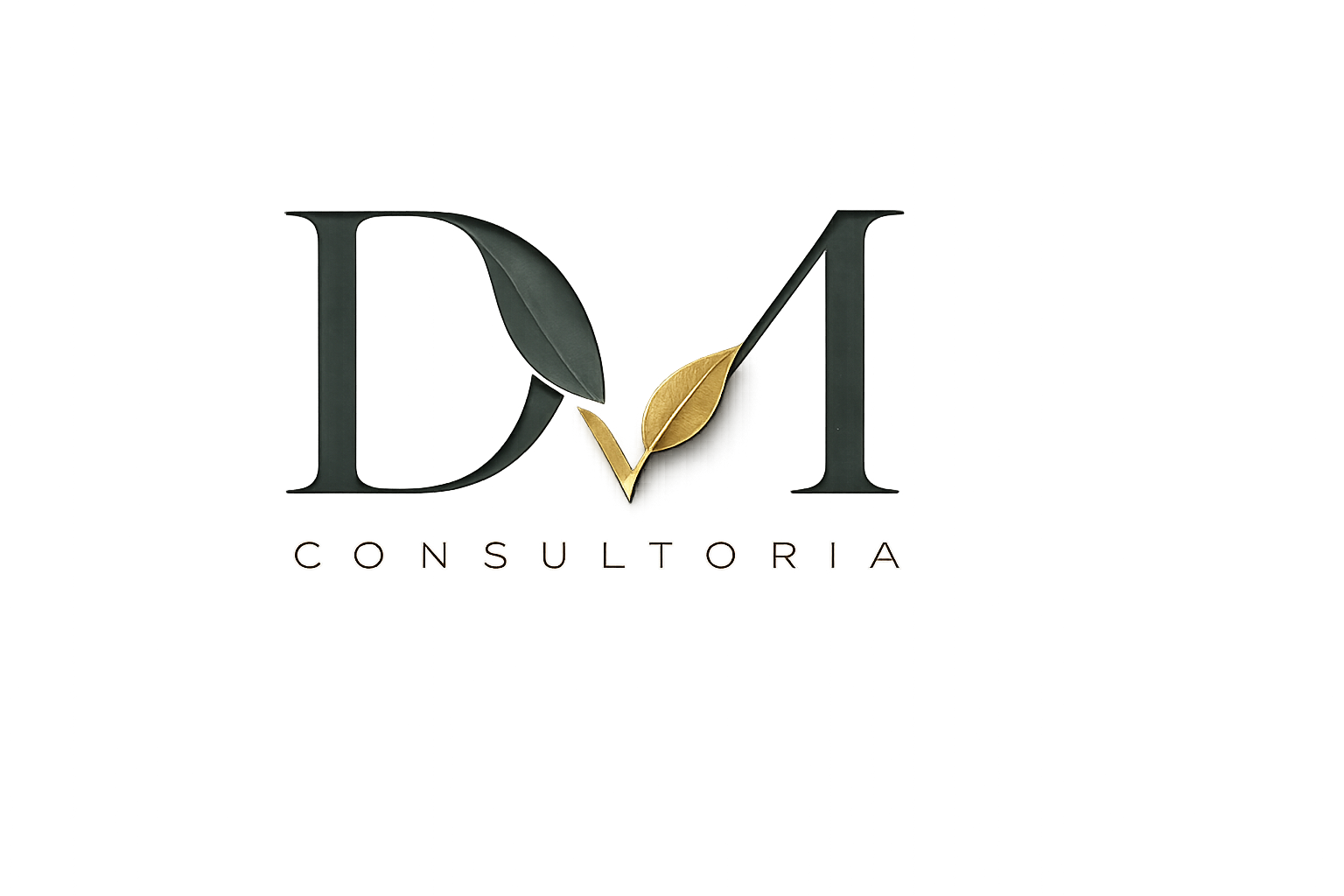DM Consultoria